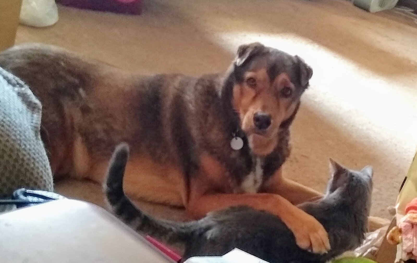 rascal and bear.jpg