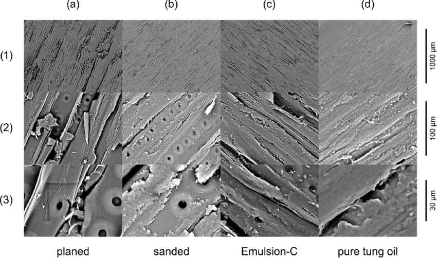 Scanning-electron-microscopy-images-of-uncoated-planed-wood-a-uncoated-sanded-wood.png