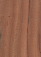 schinopsis-balansae-145x200.jpg