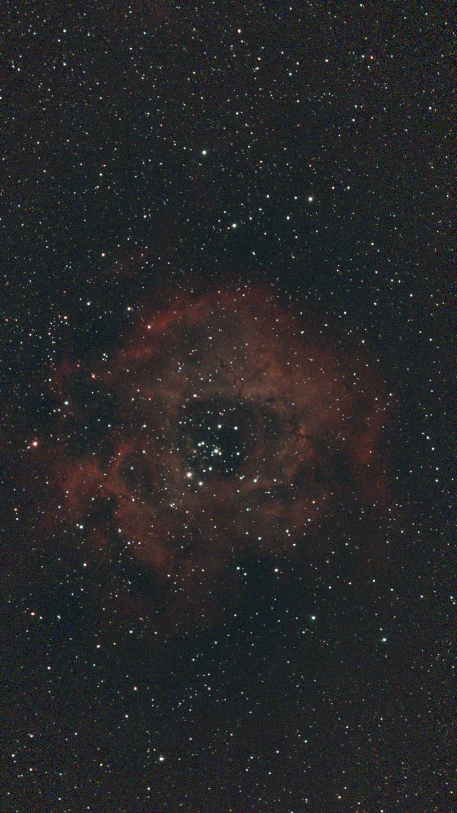 Stacked_104_mosaic_NGC 2237_20.0s_LP_20250415-222625.jpg
