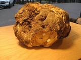 tn_burl%20outside.jpg