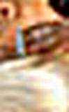 tn_pen%20closeup.jpg