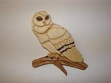 tn_Snowy%20Owl.jpg