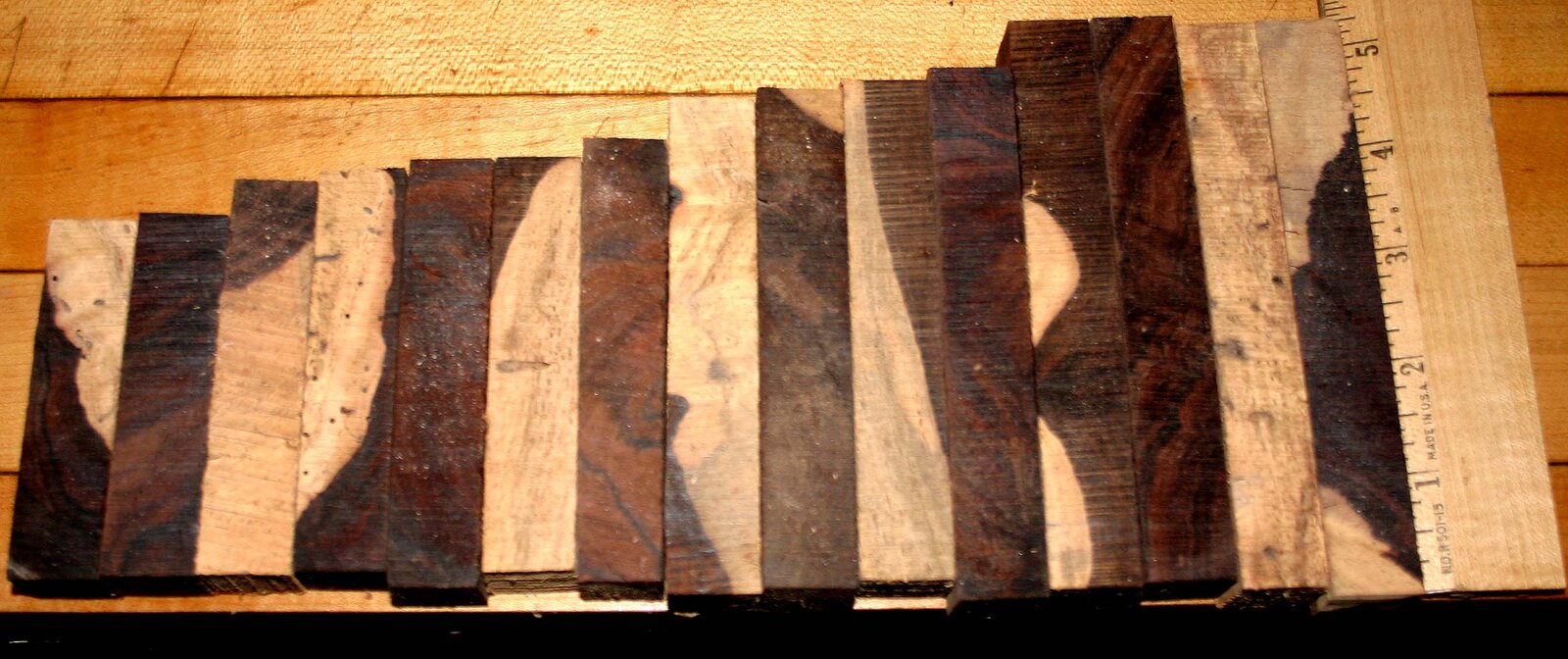 Two tone coco 002.JPG