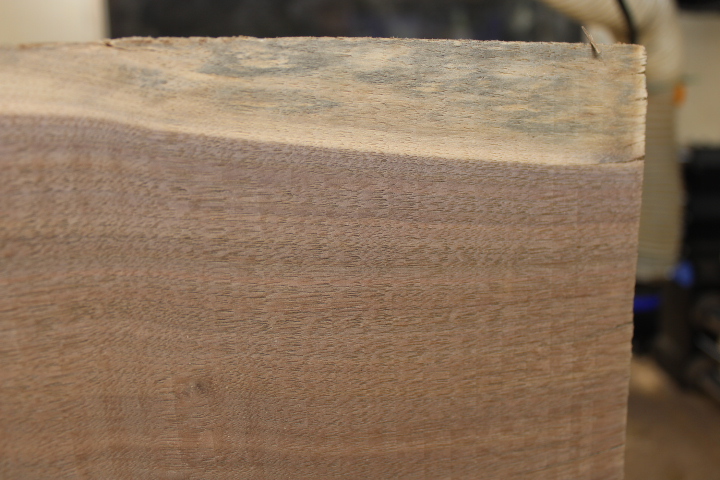 walnut 1.JPG