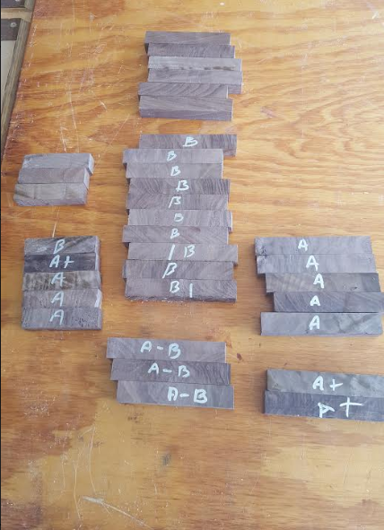 Walnut Blanks.png