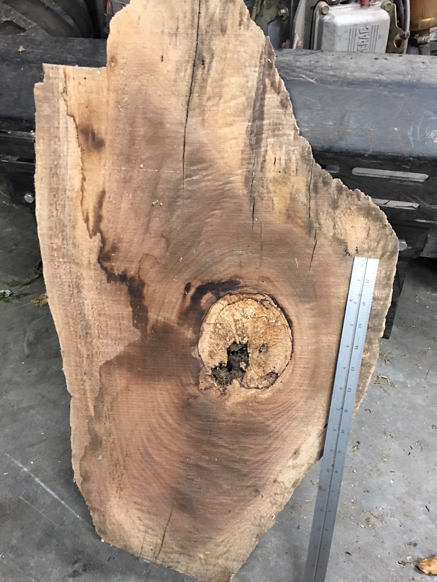 Walnut Crotch 2.jpg