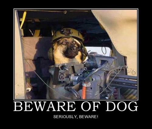 who-gave-dog-a-gun.jpg