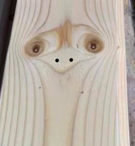 wood.JPG