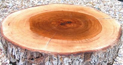 Wood.jpg