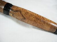 sycamore_close.jpg