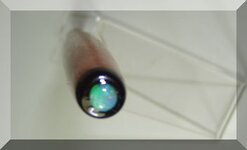 pith08m.jpg