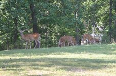 Img_6026.jpg