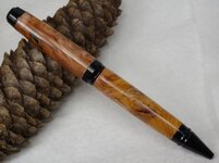 Pen260.JPG