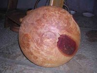 plat en loupe d aulne.jpg