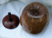 First Hollow Form Pic 3.jpg