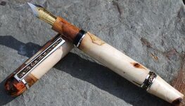 mapleburlopenmod2.JPG