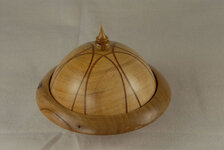 0079-1 White milkwood hard pear and black alder.jpg