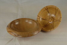 0079-2 White milkwood hard pear and black alder.jpg