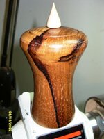 TPH1.jpg