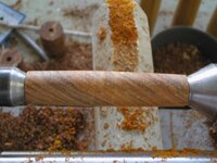 Cocobolo 015_800x600.JPG