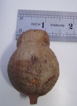 banksia podd.jpg