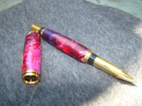 DSC00911.jpg