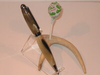 Pen & Sucker.jpg
