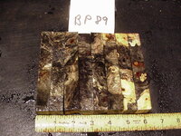 bp89a.JPG bp89a.JPG