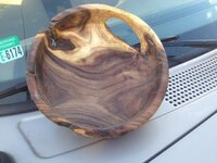 mesquite5.JPG
