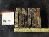 bp99a.JPG bp99a.JPG