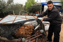 Bethlehem Olive Ghasan's Backyard Natural Drying.jpg