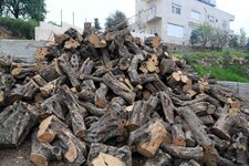 Bethlehem Ghasan's Backyard.jpg
