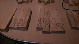 IMAG0683.jpg