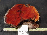 mz59a.JPG mz59a.JPG