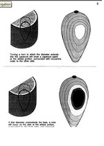 page-6.JPG
