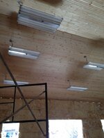 IMG_1248.jpg