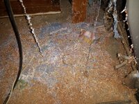Dust collection2.jpg