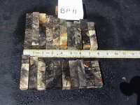 bp11a.JPG bp11a.JPG