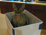 IMG_0723.jpg