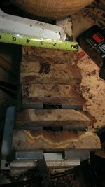 IMAG0842.jpg