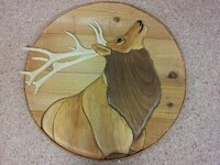 elk (800x600).jpg