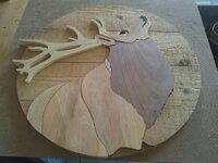 unsanded elk (800x600).jpg