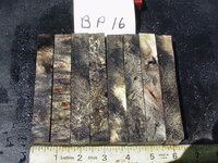 bp16a.JPG bp16a.JPG