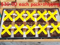 #45xx stabilised extra packs.JPG #45xx stabilised extra packs.JPG