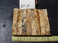 bp18a.JPG bp18a.JPG