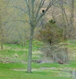 DSCF0001 (1280x1121) (768x800).jpg