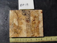 bp19a.JPG bp19a.JPG