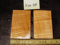 koa38a.JPG koa38a.JPG