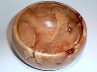 P1020671-640.jpg